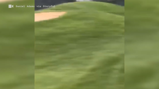 Wily Fox Steals Golf Ball Right Off The Green